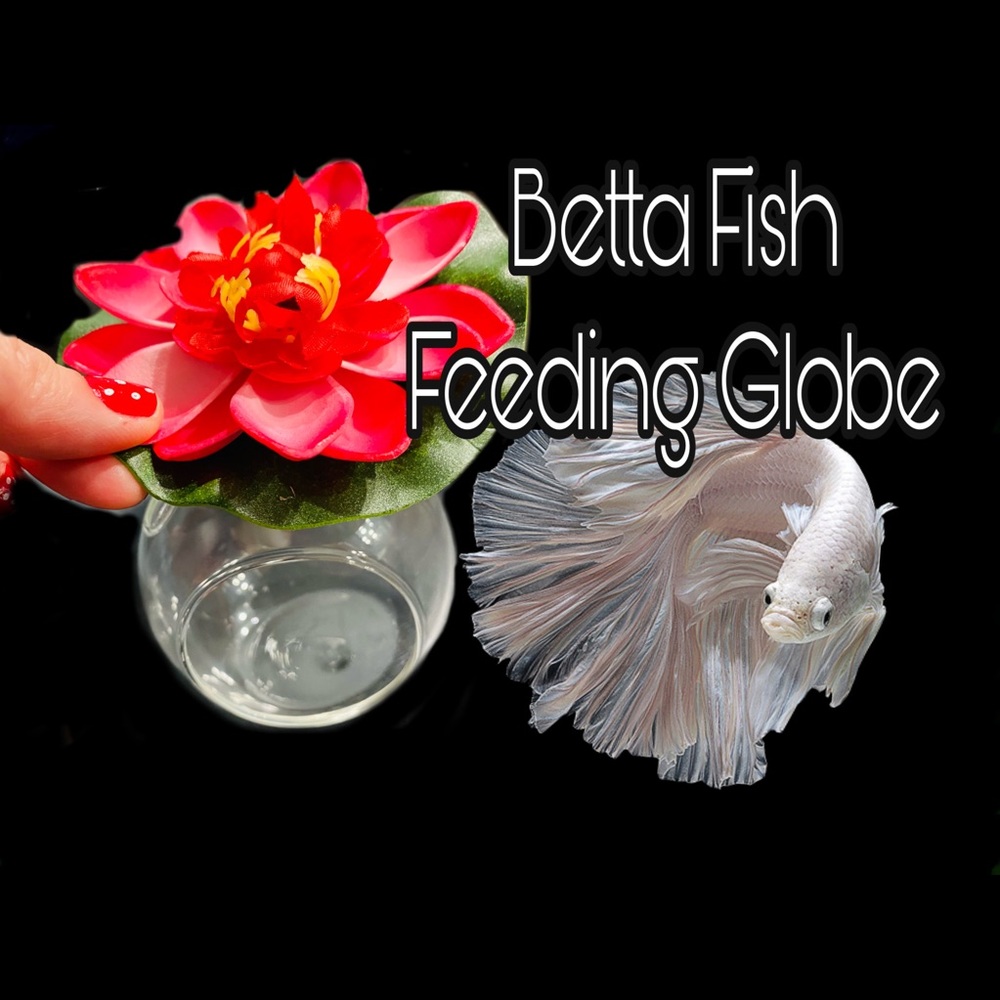 Betta fish feeding globe for frozen foods
